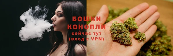 ECSTASY Белокуриха